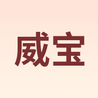 SWIPE/威宝