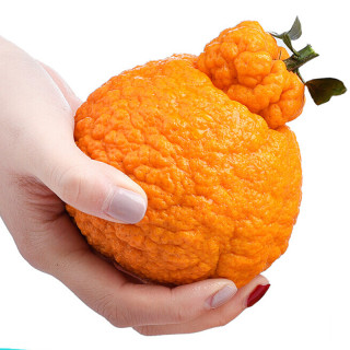 果迎鲜 四川丑橘不知火5斤装净重4.5斤（大果70mm+）