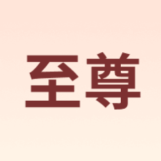 ZHIZUN/至尊