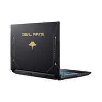 TERRANS FORCE 未来人类 DR522 11代酷睿版 15.6英寸 游戏本 黑色(酷睿i5-11400H、RTX 3060 6G、16GB、512GB SSD、1080P、IPS、144Hz）