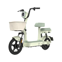  AIMA/爱玛 长续航 电动自行车