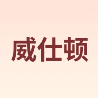 WEISHIDUN/威仕顿