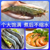 虾有虾途 青岛大虾 基围虾3斤