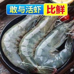 虾有虾途 青岛大虾 基围虾3斤