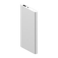 Xiaomi 小米 PLM10ZM 移动电源 银色 5000mAh Micro-B 10W