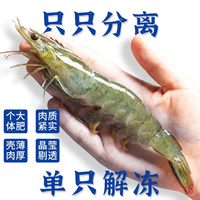  XYXT/虾有虾途 鲜活冷冻 冷冻虾