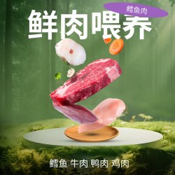 派得 鲜肉 猫粮
