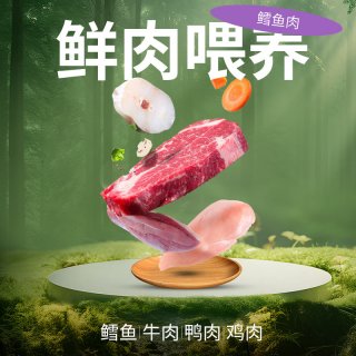 派得 鲜肉 猫粮