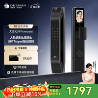 德施曼 Q5 FPro 电子锁 高端黑