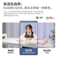  NVC/雷士 大功率 吊扇灯
