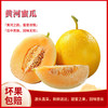  丑禾  甜瓜