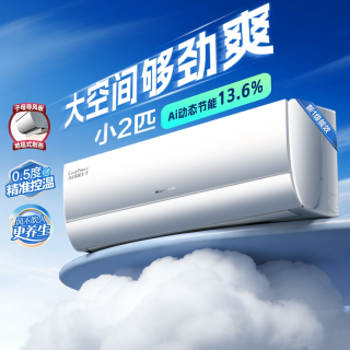 格力 KFR-46GW/NhLa1BG 新一级能效变频冷暖壁挂式空调