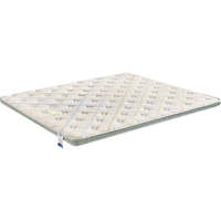  SOMNOPRO/穗宝 抗菌防螨 床垫  5-10cm（含） 偏硬 6C