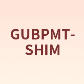 GUBPMTSHIM