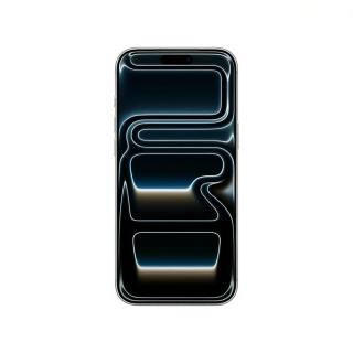 PLUS会员：Apple iPhone 17 Pro Max 5G手机 银色 256GB
