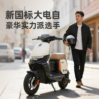  LUYUAN/绿源 新国标可上牌 电动自行车