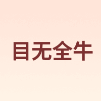 目无全牛
