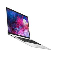 HP 惠普 战66 锐龙版 15.6英寸 轻薄本 银色（酷睿i7-1165G7、MX450、32GB、1TB SSD、1080P、IPS、60Hz）