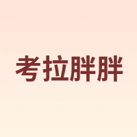KOLA PANDA/考拉胖胖
