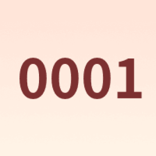 0001