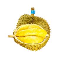 JDBMO 泰国金枕榴莲 3-4斤 包3-4房