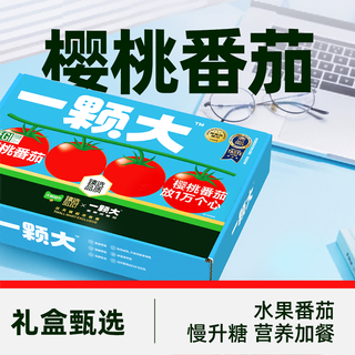  一颗大 新鲜采摘 番茄