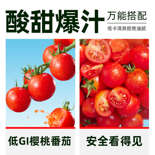  一颗大 新鲜采摘 番茄