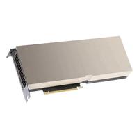 LEADTEK 丽台 NVIDIA A100 显卡 40GB 金色