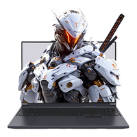  MECHREVO/机械革命 极光16 新一代满血RTX光追独显 电竞游戏本  Intel Core i5 14450HX 1920*1200 RTX 4050 灰色 165Hz 16GB