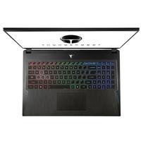 ThundeRobot/雷神 雷神 - 911 911五代 耀武 144Hz 游戏笔记本电脑 酷睿i7-9750H GTX1660Ti 黑色 512GB 512GB 8GB