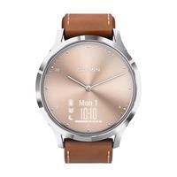 GARMIN 佳明 vivomove HR 智能手表 43mm 经典版 银色 古典褐皮革表带（心率）