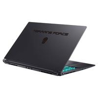 TERRANS FORCE 未来人类 T7 17.3英寸 游戏本 黑色(酷睿i7-10870H、RTX 3070、16GB、1TB SSD、1080P、LCD、240Hz)
