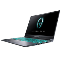 ThundeRobot 雷神 911 P1 2021款 15.6英寸 游戏本 黑色(酷睿i7-10870H、RTX 3070 8G、16GB、512GB SSD、1080P、IPS、240Hz)