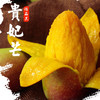 京世泽 源头直采贵妃芒 芒果 熟后爆甜 新鲜水果 净重4.5-5斤装（单果100g+）