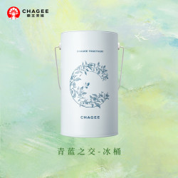 霸王茶姬 青蓝之交 夏日冰桶 保温杯