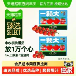 一颗大 臻选精品番茄 650g 礼盒装