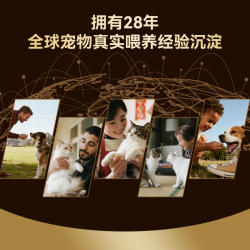 顽皮 抗老护肠 猫罐头