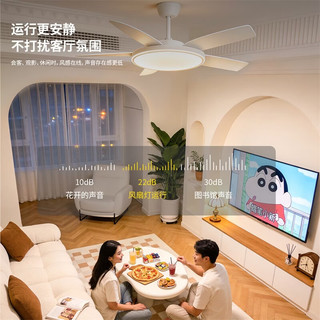 雷士 56寸吊扇灯 LED智控护眼 防蚊虫