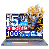 Lenovo/联想 2.5K电竞屏 笔记本电脑 16G内存 1T大固态 无机械硬盘 集成显卡 2560*1600 i5-13500H 银色 512GB 60Hz 16GB