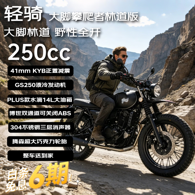 轻骑 QJ250-L 林道版 250cc 越野摩托车 星光黑