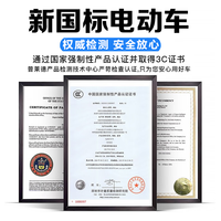 普莱德 超长续航 折叠电动自行车