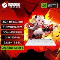 MECHREVO/机械革命 蛟龙16Pro 300Hz 2.5K 游戏本电脑