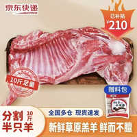 鲁禧海岸 内蒙草原新鲜羔羊肉 半只羊10斤装