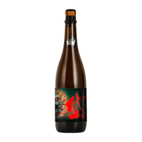 岱记精酿 半浑浊酒液 社交IPA原浆精酿啤酒 750ml*2瓶 整箱装 750mL