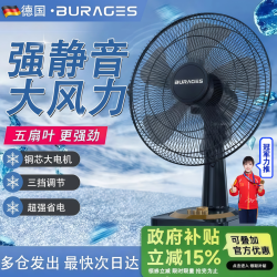 电风扇台式家用风扇床上宿舍学生轻音摇头台扇大风力17英寸电扇定时办公室台立式
