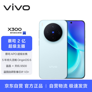 国家补贴：vivo X300 智能手机 16GB+512GB