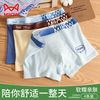 猫人 纯棉 男童内裤