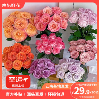 京东鲜花 基地源头直发 玫瑰鲜切花