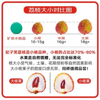  裕琼 现摘新鲜 妃子笑荔枝
