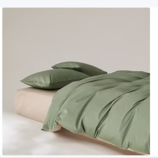 AIDLI 100支全棉贡缎新疆长绒棉纯棉四件套 200*230cm